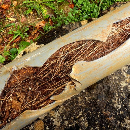 The Drain & Sewer Professionals In Paracombe