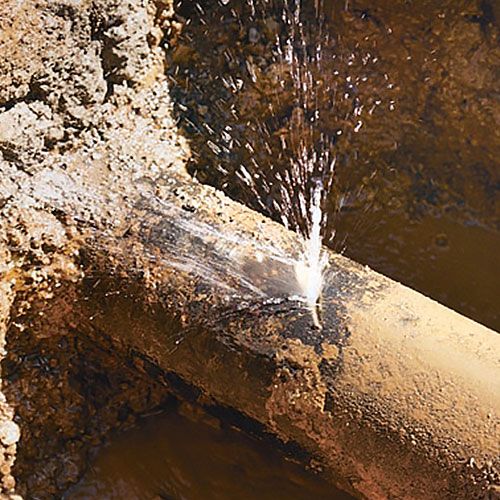 Same Day Paracombe Plumbers